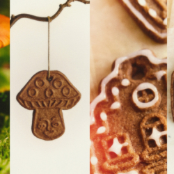 Homepage V2Histoiredesapin