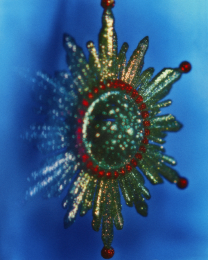 D1124 090 071 Scan Crop© Amelie Ambroise