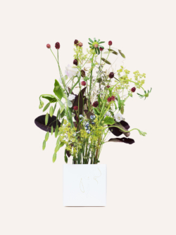 Boite à fleurs fleurie Thierry Boutemy Maison Dandoy