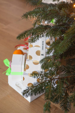 Sapin Cadeaux Sucre Canne Speculoos Table Noel Maison Dandoy