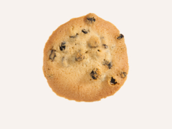 Palets Dames Raisins Maison Dandoy