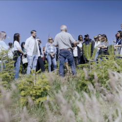 Capture décran 2025 06 25 à 16 12 38